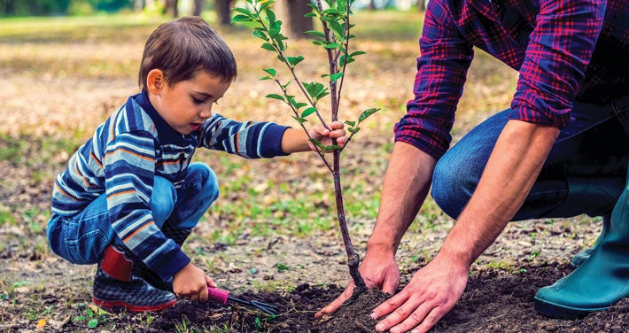 little boy planting tree