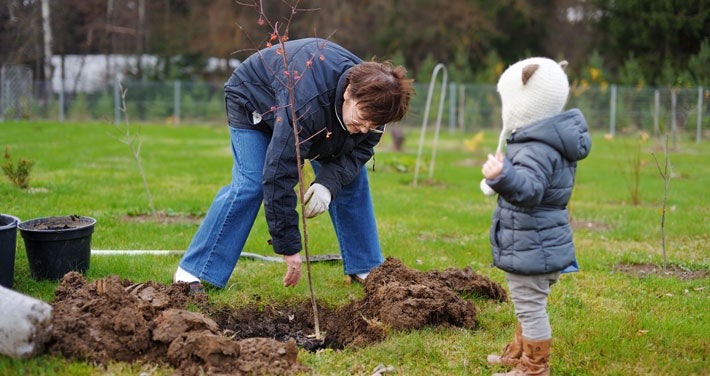 man planting tree with young child watching
