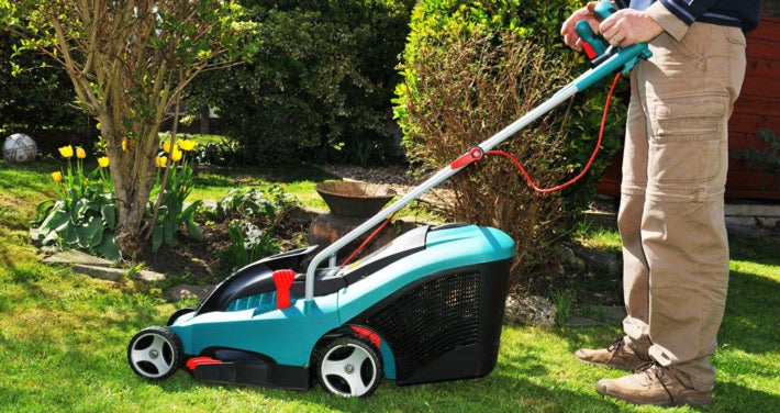 electric law mower in back yard