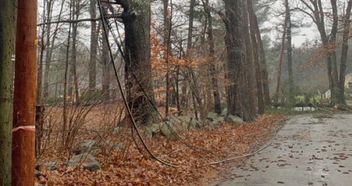 fallen tree covers street with downed wires