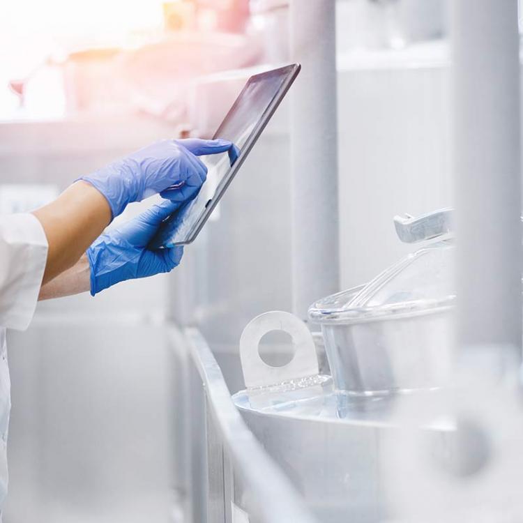 in dairy plant with tablet